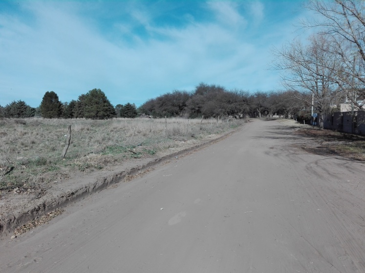 Benteveo y Tijereta Lowo Che, La Pampa, 6303, ,Loteo,En Venta,1033