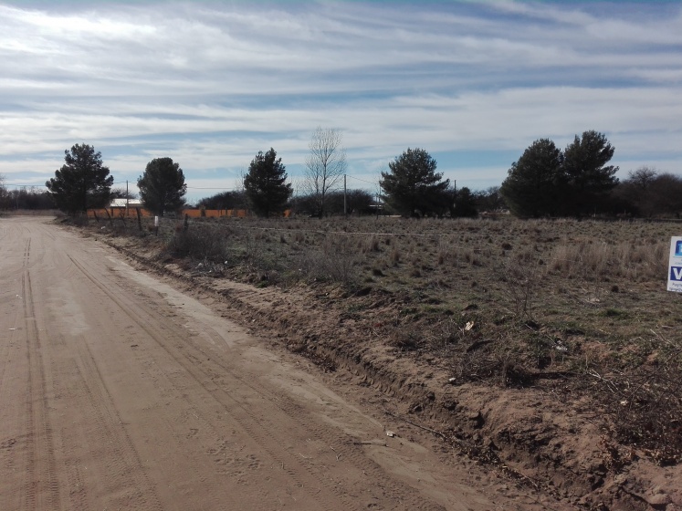 Benteveo y Tijereta Lowo Che, La Pampa, 6303, ,Loteo,En Venta,1033