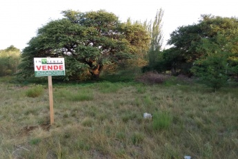 Brasita de fuego Lowo Che, La Pampa, 6303, ,Terreno,En Venta,1034