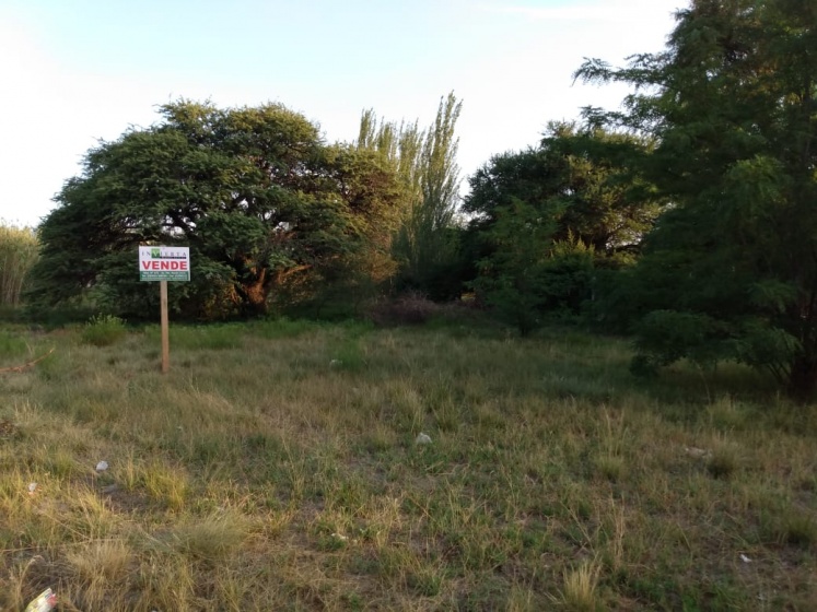 Brasita de fuego Lowo Che, La Pampa, 6303, ,Terreno,En Venta,1034